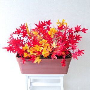 ԃv^[ t[v^[ t[AWg tFCNO[ Xܑ fBXvC p`RX H ZW fnEX V[[ H IW/PF821-LB 