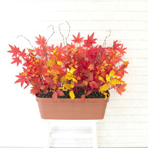 ԃv^[ t[v^[ t[AWg tFCNO[ Xܑ fBXvC p`RX H ZW fnEX V[[ H IW/PF302 