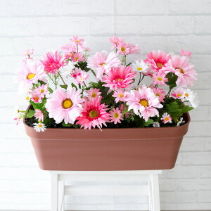 ԃv^[ t[v^[ t[AWg tFCNO[ Xܑ fBXvC p`RX H ZW fnEX V[[ ʔN sN/PF342 ԃv