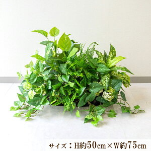 ԃv^[ CeAv^[ 񂹐A tFCNO[ t[ AWg A[gt[ Xܑ fBXvC Ǝ{ ZW fnEX V[[/PFE003-BO