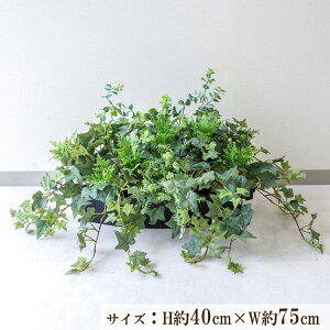 ԃv^[ CeAv^[ 񂹐A tFCNO[ t[ AWg A[gt[ Xܑ fBXvC Ǝ{ ZW fnEX V[[/PFE006-BO