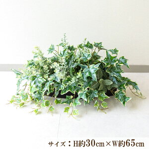 ԃv^[ CeAv^[ 񂹐A tFCNO[ t[ AWg A[gt[ Xܑ fBXvC Ǝ{ ZW fnEX V[[/PFE011-BO