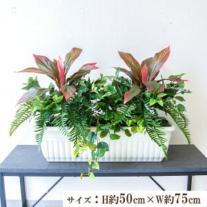 ԃv^[ CeAv^[ 񂹐A tFCNO[ t[ AWg A[gt[ Xܑ fBXvC Ǝ{ ZW fnEX V[[/PFW003-JR