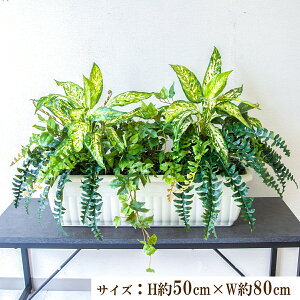 ԃv^[ CeAv^[ 񂹐A tFCNO[ t[ AWg A[gt[ Xܑ fBXvC Ǝ{ ZW fnEX V[[/PFW004-JR