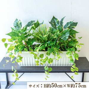 ԃv^[ CeAv^[ 񂹐A tFCNO[ t[ AWg A[gt[ Xܑ fBXvC Ǝ{ ZW fnEX V[[/PFW005-JR