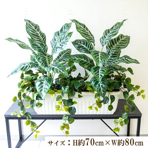 ԃv^[ CeAv^[ 񂹐A tFCNO[ t[ AWg A[gt[ Xܑ fBXvC Ǝ{ ZW fnEX V[[/PFW011-JR