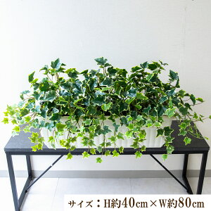 ԃv^[ CeAv^[ 񂹐A tFCNO[ t[ AWg A[gt[ Xܑ fBXvC Ǝ{ ZW fnEX V[[/PFW014-JR