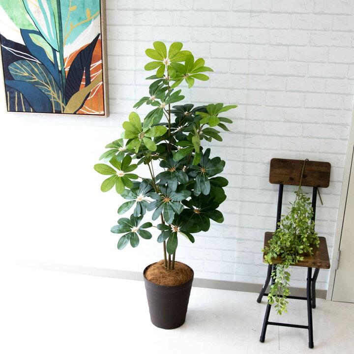 楽天市場】フェイクグリーン 観葉植物 人工観葉植物 シェフレラ 