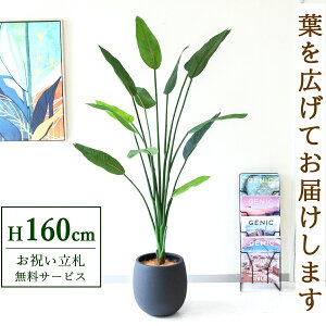 フェイクグリーン ストレチア H約160cm 鉢付き / 人工観葉植物 観葉植物 フェイク 造花 大型 大きい 店舗 装飾 開店 開業 移転 祝い ギフト プレゼント おしゃれ 住宅展示場 モデルハウス オフ