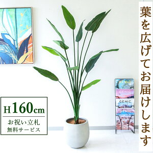 フェイクグリーン ストレチア H約160cm 鉢付き / 人工観葉植物 観葉植物 フェイク 造花 大型 大きい 店舗 装飾 開店 開業 移転 祝い ギフト プレゼント おしゃれ 住宅展示場 モデルハウス オフ