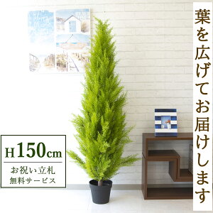 tFCNO[ S[hNXg H150cm t / lHϗtA ϗtA tFCN  X  JX J ړ] j Mtg v[g  ZW fnEX ItBX 