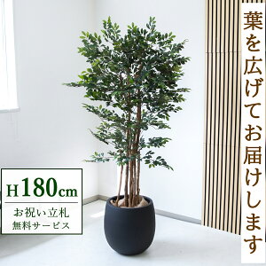 フェイクグリーン トネリコツリー H約180cm 鉢付き / 人工観葉植物 観葉植物 フェイク 造花 大型 大きい 店舗 装飾 開店 開業 移転 祝い ギフト プレゼント おしゃれ 住宅展示場 モデルハウス