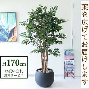 フェイクグリーン トネリコツリー H約170cm 鉢付き / 人工観葉植物 観葉植物 フェイク 造花 大型 大きい 店舗 装飾 開店 開業 移転 祝い ギフト プレゼント おしゃれ 住宅展示場 モデルハウス