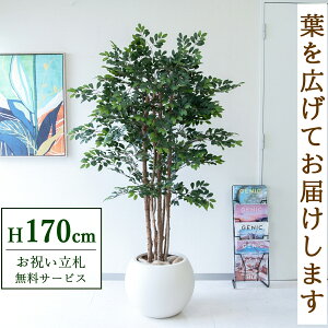 tFCNO[ glRc[ H170cm t / lHϗtA ϗtA tFCN  ^ 傫 X  JX J ړ] j Mtg v[g  ZW fnEX 