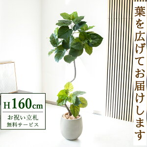 フェイクグリーン ツイストウンベラータ H約160cm 鉢付き / 人工観葉植物 観葉植物 フェイク 造花 店舗 装飾 開店 開業 移転 祝い ギフト プレゼント おしゃれ 住宅展示場 モデルハウス オフィ