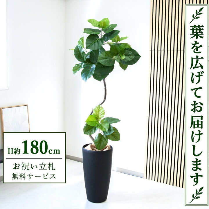 楽天市場】フェイクグリーン 観葉植物 人工観葉植物 フィカス 