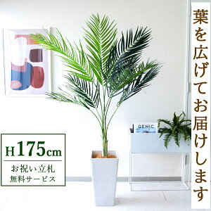 フェイクグリーン アレカパームツリー H約175cm 鉢付き / 人工観葉植物 観葉植物 フェイク 造花 大型 大きいパームツリー 南国 夏 店舗 装飾 開店 開業 移転 祝い ギフト プレゼント おしゃれ