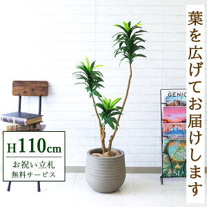 tFCNO[ hZiRpN^ H110cm t / lHϗtA ϗtA tFCN  X  JX J ړ] j Mtg v[g  ZW fnEX ItBX 