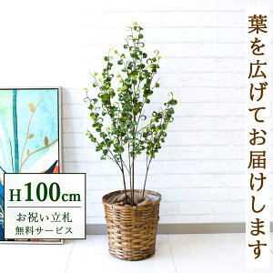 Dyz tFCNO[ lHϗtA tBJX xW~ obN 100cm t / @lEJXj X܁EItBX ԉo /PG169-S24