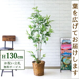 Dyz tFCNO[ lHϗtA ou[c[ 130cm t / @lEJXj X܁EItBX ԉo /PG170-S24