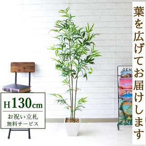 tFCNO[ ou[c[ H130cm t / lHϗtA ϗtA tFCN  X  JX J ړ] j Mtg v[g  ZW fnEX ItBX D