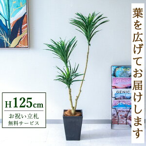 �t�F�C�N�O���[�� �ϗt�A�� �l�H�ϗt�A�� �h���Z�i 125cm ���t�� / ���D���� �������� �@�l�E�J�X�j�� �X�܁E�I�t�B�X���� ��ԉ��o ����/PG173-Q20BK