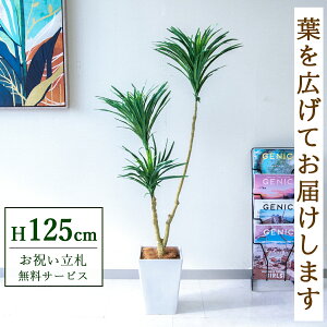 �t�F�C�N�O���[�� �ϗt�A�� �l�H�ϗt�A�� �h���Z�i 125cm ���t�� / ���D���� �������� �@�l�E�J�X�j�� �X�܁E�I�t�B�X���� ��ԉ��o ����/PG173-Q20WH