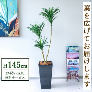�t�F�C�N�O���[�� �ϗt�A�� �l�H�ϗt�A�� �h���Z�i 145cm ���t�� / ���D���� �������� �@�l�E�J�X�j�� �X�܁E�I�t�B�X���� ��ԉ��o ����/PG173-Q25BK