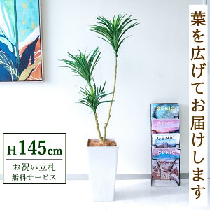 �t�F�C�N�O���[�� �ϗt�A�� �l�H�ϗt�A�� �h���Z�i 145cm ���t�� / ���D���� �������� �@�l�E�J�X�j�� �X�܁E�I�t�B�X���� ��ԉ��o ����/PG173-Q25WH