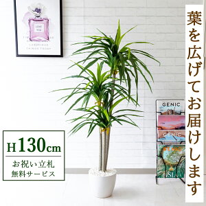 tFCNO[ hZigN H130cm t / lHϗtA ϗtA tFCN  X  JX J ړ] j Mtg v[g  ZW fnEX ItBX 