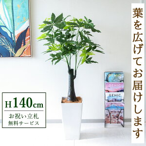 �t�F�C�N�O���[�� �ϗt�A�� �l�H�ϗt�A�� �p�L���g�����N 140cm ���t�� / ���D���� �������� �@�l�E�J�X�j�� �X�܁E�I�t�B�X���� ��ԉ��o ����/PG181-Q25WH