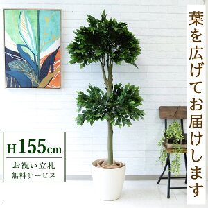 tFCNO[ tBJX xW~ H155cm t / lHϗtA ϗtA tFCN  X  JX J ړ] j Mtg v[g  ZW fnEX ItB