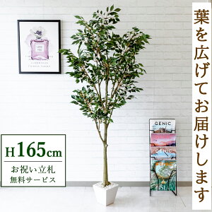 tFCNO[ tBJX xW~ H165cm t / lHϗtA ϗtA tFCN  X  JX J ړ] j Mtg v[g  ZW fnEX ItB