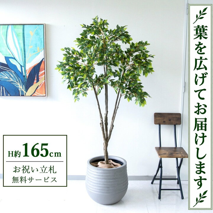 楽天市場】フェイクグリーン 観葉植物 人工観葉植物 フィカス 