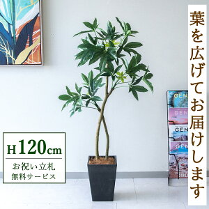 �t�F�C�N�O���[�� �ϗt�A�� �l�H�ϗt�A�� �p�L�� 120cm ���t�� / ���D���� �������� �@�l�E�J�X�j�� �X�܁E�I�t�B�X���� ��ԉ��o ����/PG1001-Q20BK