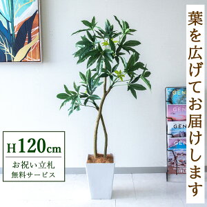 �t�F�C�N�O���[�� �ϗt�A�� �l�H�ϗt�A�� �p�L�� 120cm ���t�� / ���D���� �������� �@�l�E�J�X�j�� �X�܁E�I�t�B�X���� ��ԉ��o ����/PG1001-Q20WH