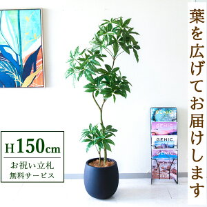 �t�F�C�N�O���[�� �ϗt�A�� �l�H�ϗt�A�� �p�L�� 150cm ���t�� / ���D���� �������� �@�l�E�J�X�j�� �X�܁E�I�t�B�X���� ��ԉ��o ����/PG1002-BAL30BK