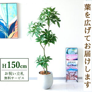 �t�F�C�N�O���[�� �ϗt�A�� �l�H�ϗt�A�� �p�L�� 150cm ���t�� / ���D���� �������� �@�l�E�J�X�j�� �X�܁E�I�t�B�X���� ��ԉ��o ����/PG1002-BAL30IV