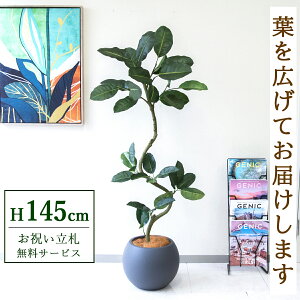 �t�F�C�N�O���[�� �ϗt�A�� �l�H�ϗt�A�� �t�B�J�X �S���̖� 145cm ���t�� / ���D���� �������� �@�l�E�J�X�j�� �X�܁E�I�t�B�X���� ��ԉ��o ����/PG1003-ROM32GY