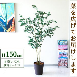 Dyz tFCNO[ lHϗtA tBJX 150cm t / @lEJXj X܁EItBX ԉo /PG1004-B240BR