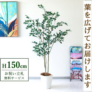 Dyz tFCNO[ lHϗtA tBJX 150cm t / @lEJXj X܁EItBX ԉo /PG1004-B240WH