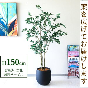 Dyz tFCNO[ lHϗtA tBJX 150cm t / @lEJXj X܁EItBX ԉo /PG1004-BAL30BK