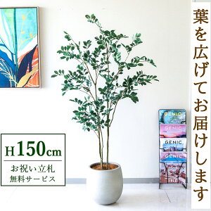 Dyz tFCNO[ lHϗtA tBJX 150cm t / @lEJXj X܁EItBX ԉo /PG1004-BAL30IV