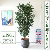 楽天市場】190cm フェイクグリーンの通販
