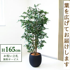 �t�F�C�N�O���[�� �ϗt�A�� �l�H�ϗt�A�� �t�B�J�X �x���W���~�� 165cm ���t�� / ���D���� �������� �@�l�E�J�X�j�� �X�܁E�I�t�B�X���� ��ԉ��o ����/PG1007-BAL35BK