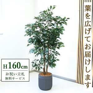 �t�F�C�N�O���[�� �ϗt�A�� �l�H�ϗt�A�� �t�B�J�X �x���W���~�� 160cm ���t�� / ���D���� �������� �@�l�E�J�X�j�� �X�܁E�I�t�B�X���� ��ԉ��o ����/PG1007-BPK29GY
