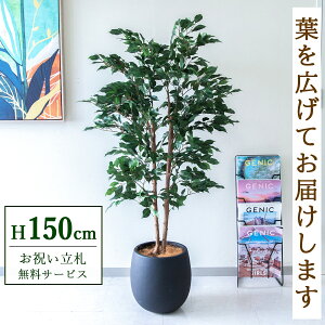 �t�F�C�N�O���[�� �ϗt�A�� �l�H�ϗt�A�� �t�B�J�X �x���W���~�� 145cm ���t�� / ���D���� �������� �@�l�E�J�X�j�� �X�܁E�I�t�B�X���� ��ԉ��o ����/PG1008-BAL30BK