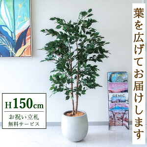 �t�F�C�N�O���[�� �ϗt�A�� �l�H�ϗt�A�� �t�B�J�X �x���W���~�� 145cm ���t�� / ���D���� �������� �@�l�E�J�X�j�� �X�܁E�I�t�B�X���� ��ԉ��o ����/PG1008-BAL30IV