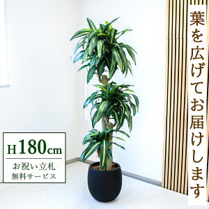 �t�F�C�N�O���[�� �ϗt�A�� �l�H�ϗt�A�� �K���̖� �h���Z�i �}�b�T���Q�A�i ��^ 180cm ���t�� / ���D���� �������� �@�l�E�J�X�j�� �X�܁E�I�t�B�X���� ��ԉ��o ����/PG1011-BAL35BK