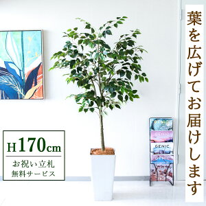 �t�F�C�N�O���[�� �ϗt�A�� �l�H�ϗt�A�� �t�B�J�X �x���W���~�� ��^ 170cm ���t�� / ���D���� �������� �@�l�E�J�X�j�� �X�܁E�I�t�B�X���� ��ԉ��o ����/PG1012-Q25WH